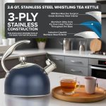 3-Ply Stainless Steel Tea Kettle, 2.6 Quart Stovetop Hot Water Pot with Tempered Glass Lid, Ergonomic Handle, Induction Ready, Slate and Blue