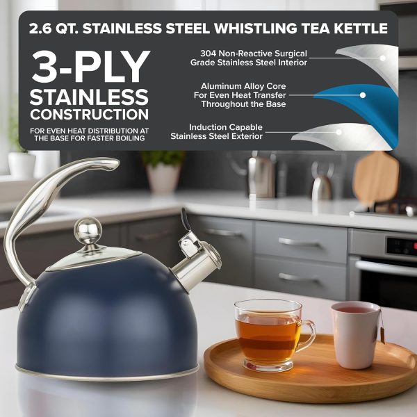 3-Ply Stainless Steel Tea Kettle, 2.6 Quart Stovetop Hot Water Pot with Tempered Glass Lid, Ergonomic Handle, Induction Ready, Slate and Blue